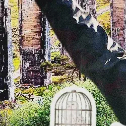 5 Essential Tips for Visiting the Glenfinnan Viaduct in Scotland