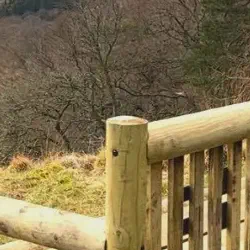 Exploring Scotland's Wild Heart: A Tour of Loch Lomond & The Trossachs