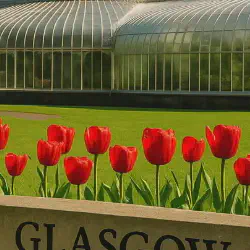 Glasgow Botanic Gardens: A Complete Guide to Scotland's Premier Botanical Destination