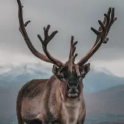 Visit the Scottish Highlands in November 2025: The Ultimate Off-Peak Adventure for Smart Travelers